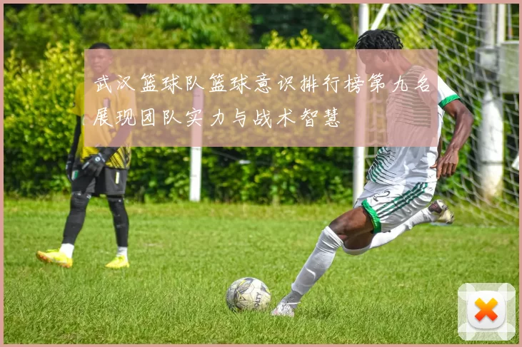 武汉篮球队篮球意识排行榜第九名展现团队实力与战术智慧